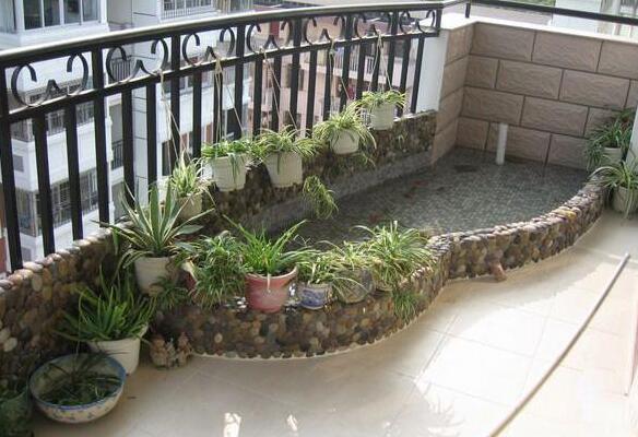 陽(yáng)臺(tái)魚(yú)池