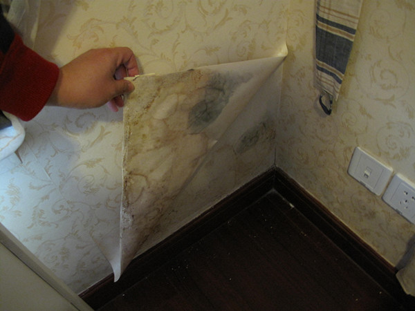 墻紙發(fā)霉原因及預防措施 別發(fā)霉了才去找原因