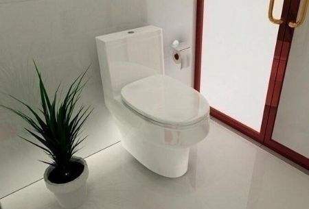 坐式馬桶安裝 坐式馬桶安裝注意事項