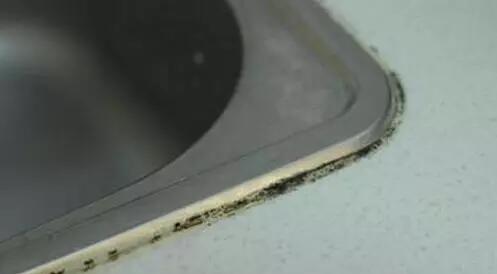 廚房水槽邊長(zhǎng)霉？不能忍的接妙招！