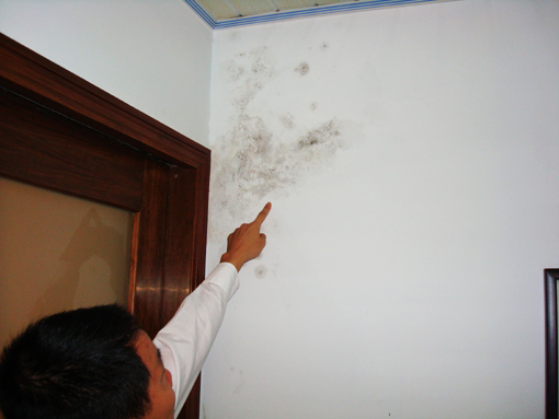 墻壁發(fā)霉怎么辦_墻壁發(fā)霉怎么處理?